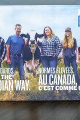 2_20251105_114046_picturew-owatermark_5368