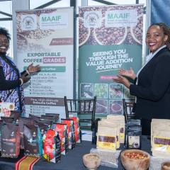 2_20251105_121537_picturew-owatermark_5466