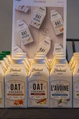 2_20251105_164528_picturew-owatermark_5763